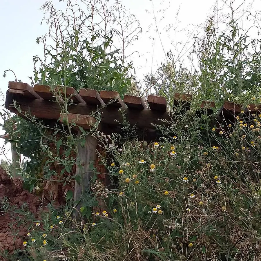 Les Valletes Arnés Spanien