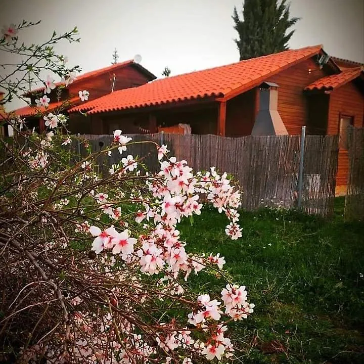 Ferienhaus Les Valletes Arnés